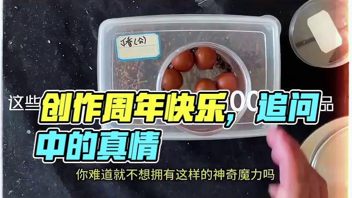 #创作周年快乐 #钓鱼人的快乐