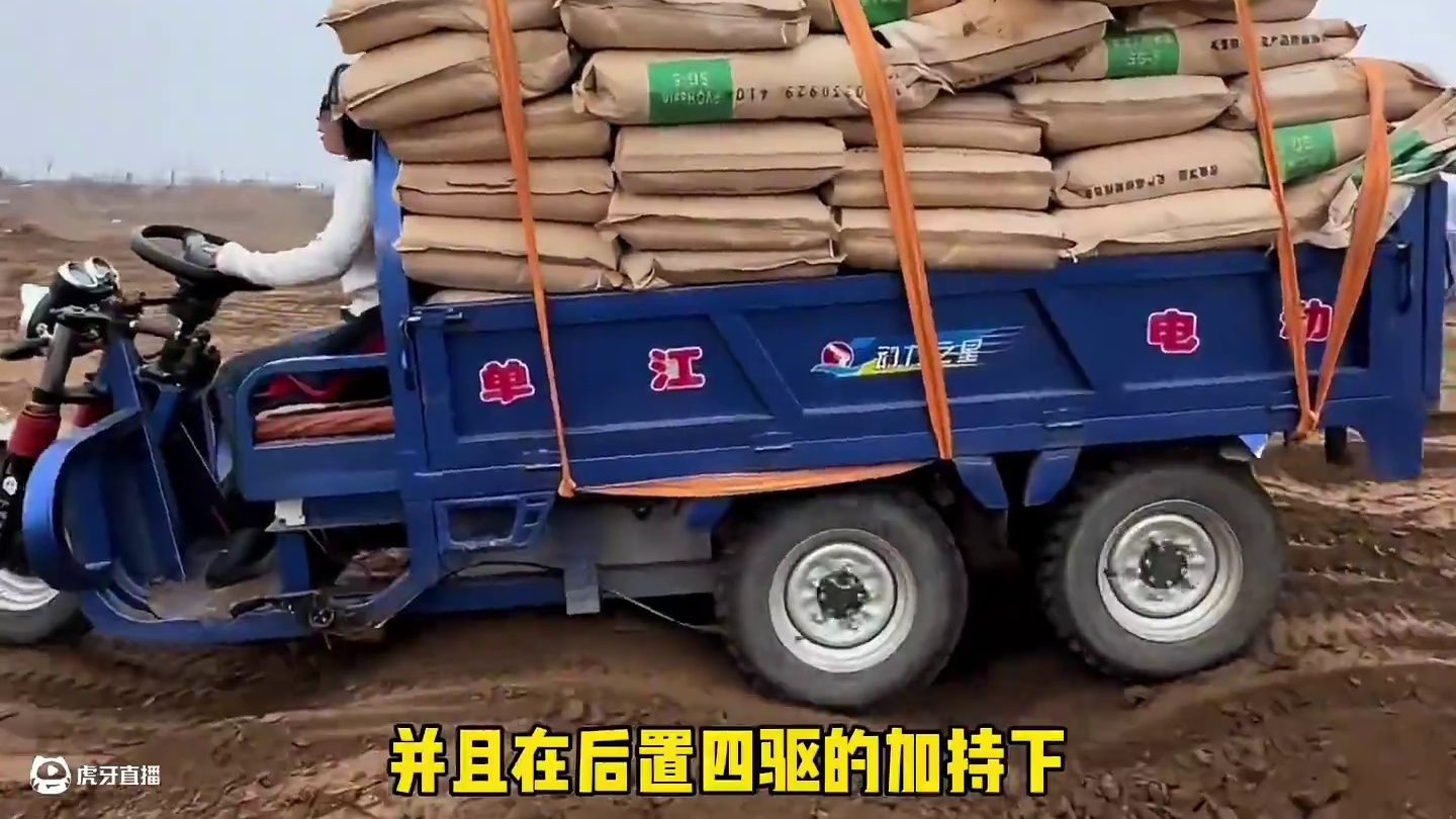 电动三轮车被玩出了新花样…#改装 #电动车