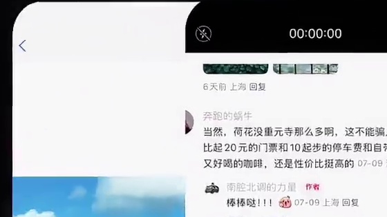 原来荷花是花界打工人 到点下班啊~ 二刷重元寺荷花仙境~#夏日荷花 #治愈系风景 #旅行推荐官 #每