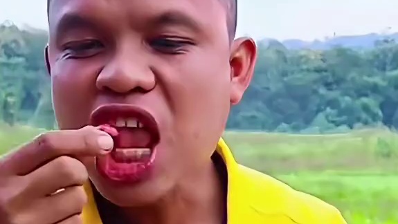 圆茄子小苦瓜辣椒蘸水️大块鲜牛肝 #美食 #户外美食 #泰国美食 #内容启发搜索