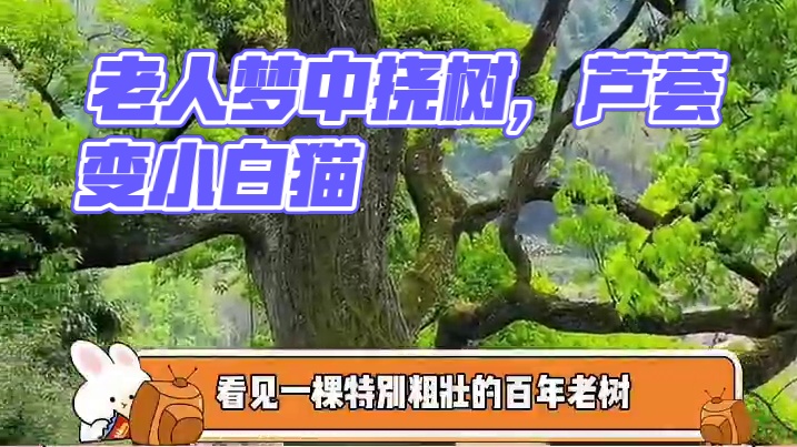 原来老人说万物有灵是真的