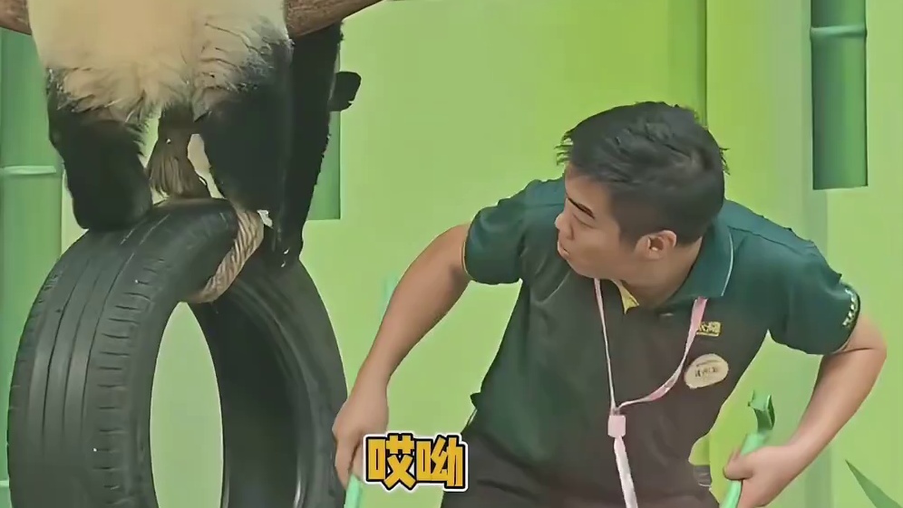 没想到大熊猫也是有仇必报啊