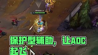 保護(hù)型輔助，讓ADC起飛！
