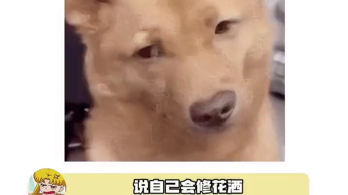 第一次见在浴室装高压水枪的#日本 #抽象 #日漫 #搞笑