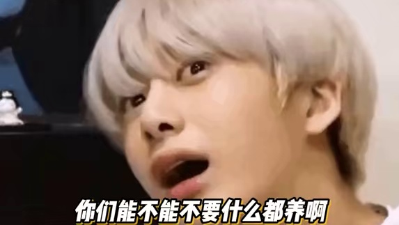 怎么还有养砖这种操作啊！我以为养芒狗已经很离谱了#养砖 #养宠 #打工人 #精神状态belike