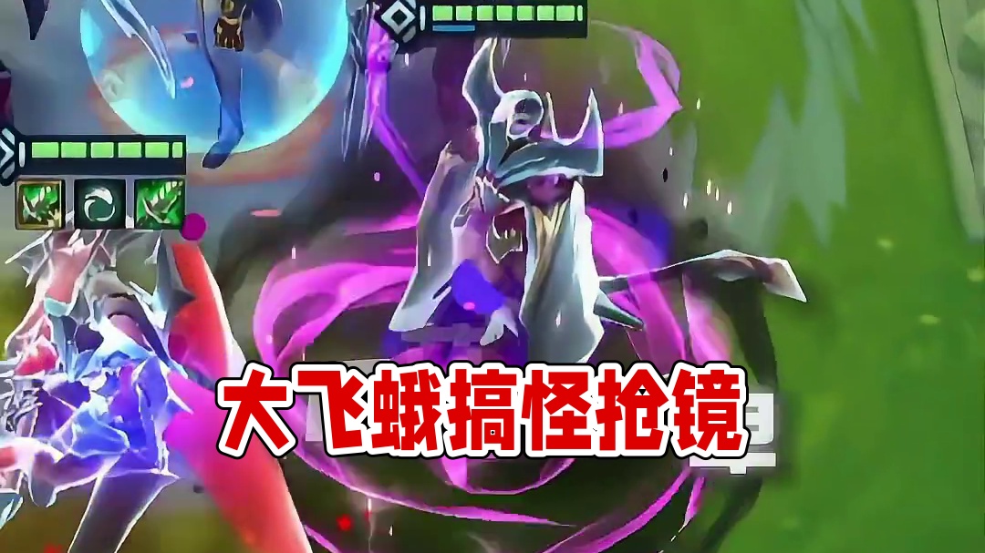 这是一只大飞蛾！！？