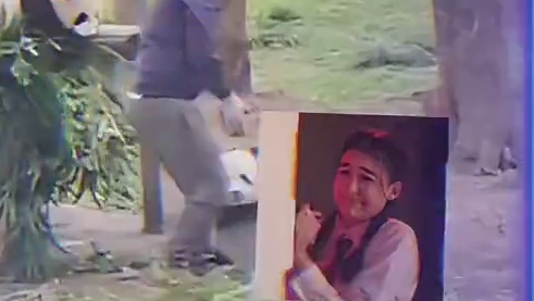 熊猫：你怎么看熊的，我面子摔没了知道吗？