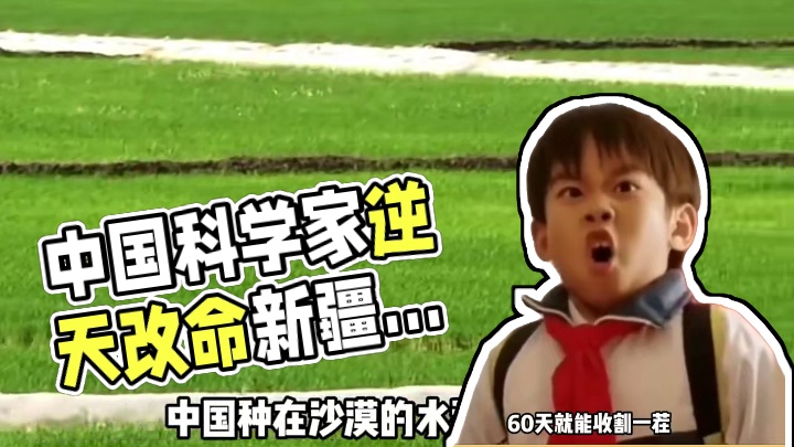 沙漠现在都变成粮仓了！ 万万没想到，中国科学家在新疆沙漠种的水稻已经大丰收了！#水稻 #科学家 #种