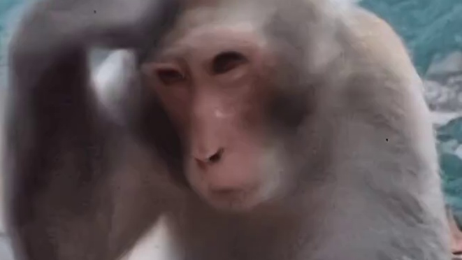 宝宝你怎么长的丑丑的