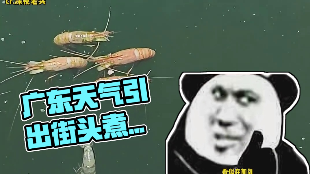 不是我说 广东这天气也太毒了吧