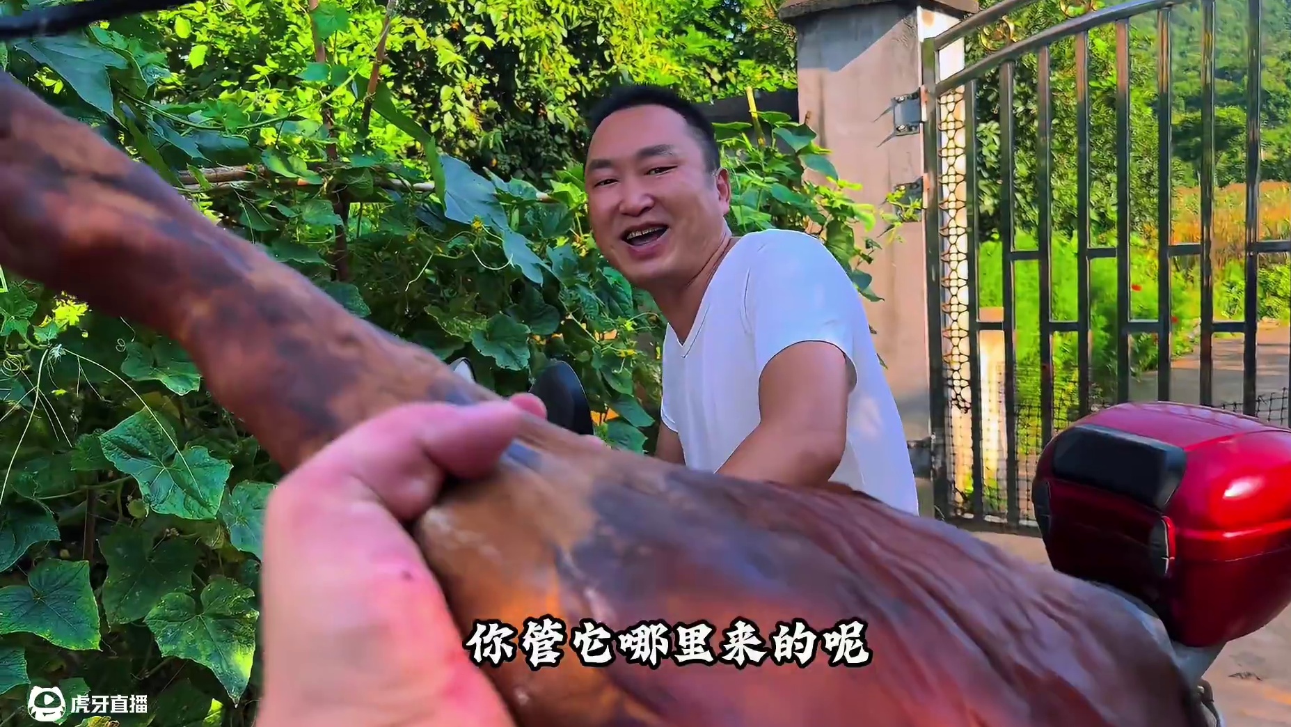 稻草烧腊蹄子，小火慢焖到软烂，大口吃真过瘾！ #我的乡村生活 #人间烟火 #新农人计划