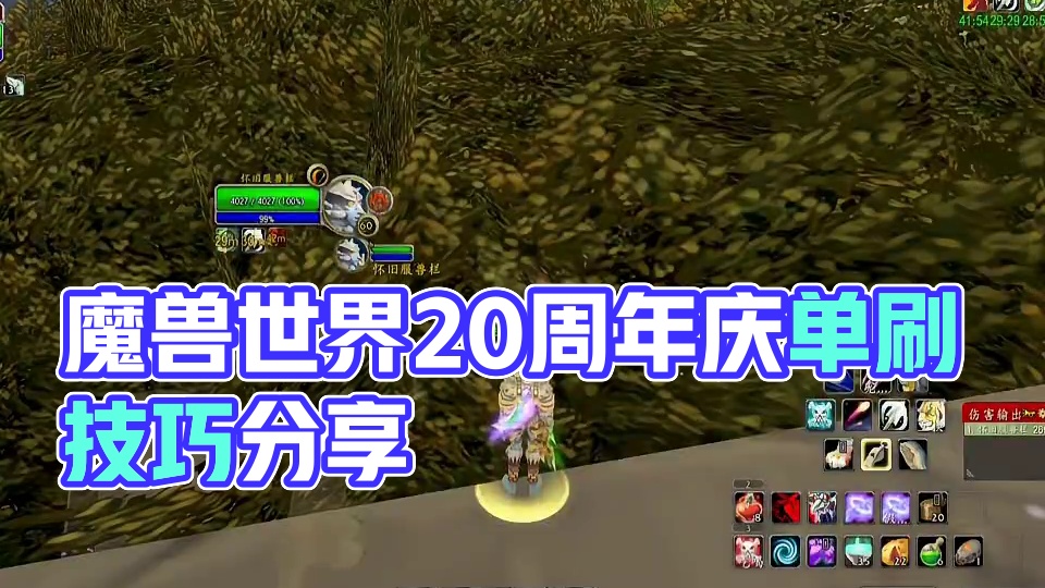 #魔兽世界国服20周年庆 魔兽世界单刷厄运东多个技巧点继续分享。简单易懂。#游戏解说
