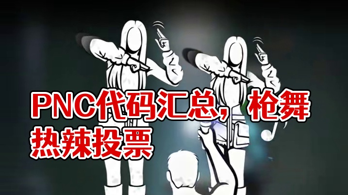 PNC两天代码汇总，投票截止到下午4点，抓紧时间 