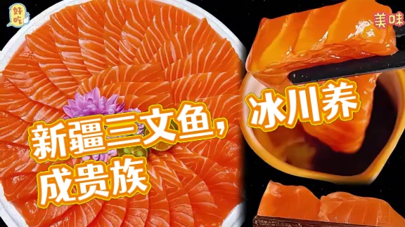 冰川雪水养出来的“鱼中贵族” 新疆三文鱼，喝的是昆仑山冰川活水，住的是海拔2000米纯净冷湖，0污染