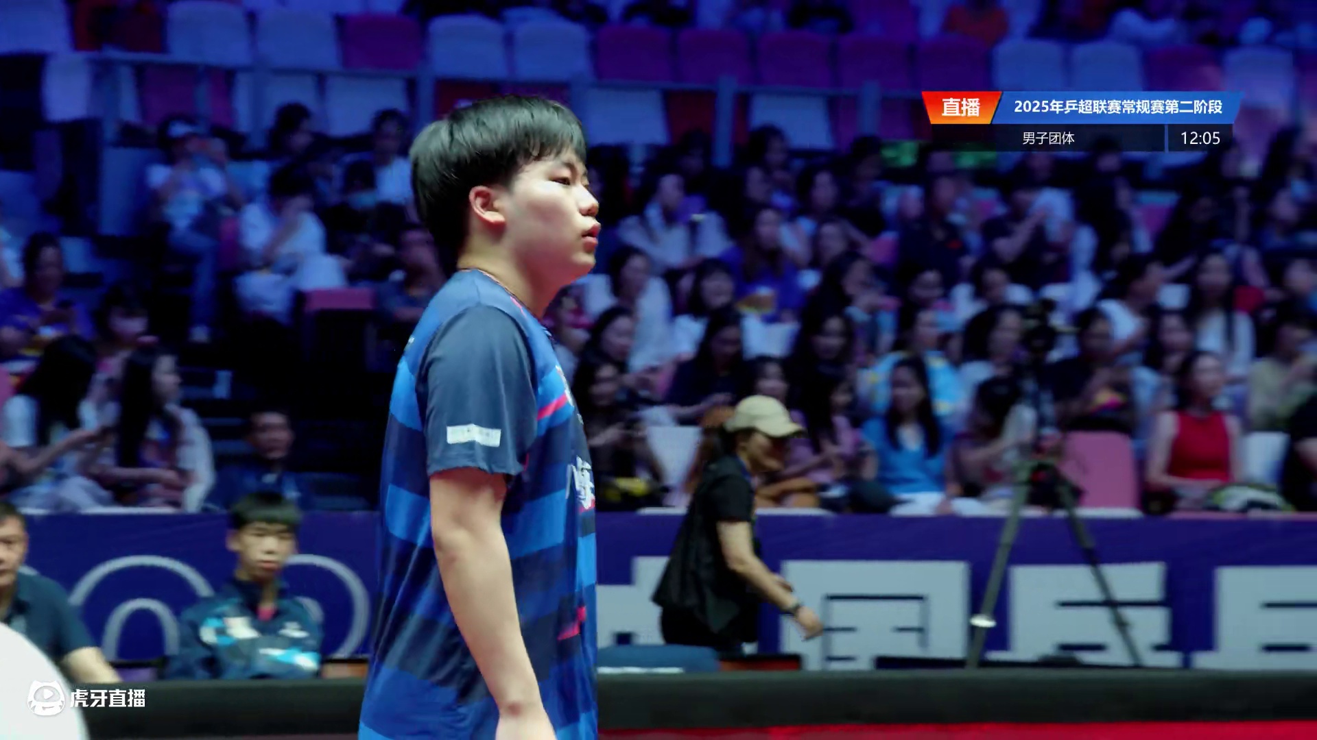 松岛辉空vs林昀儒 2025乒超联赛第二阶段 清流