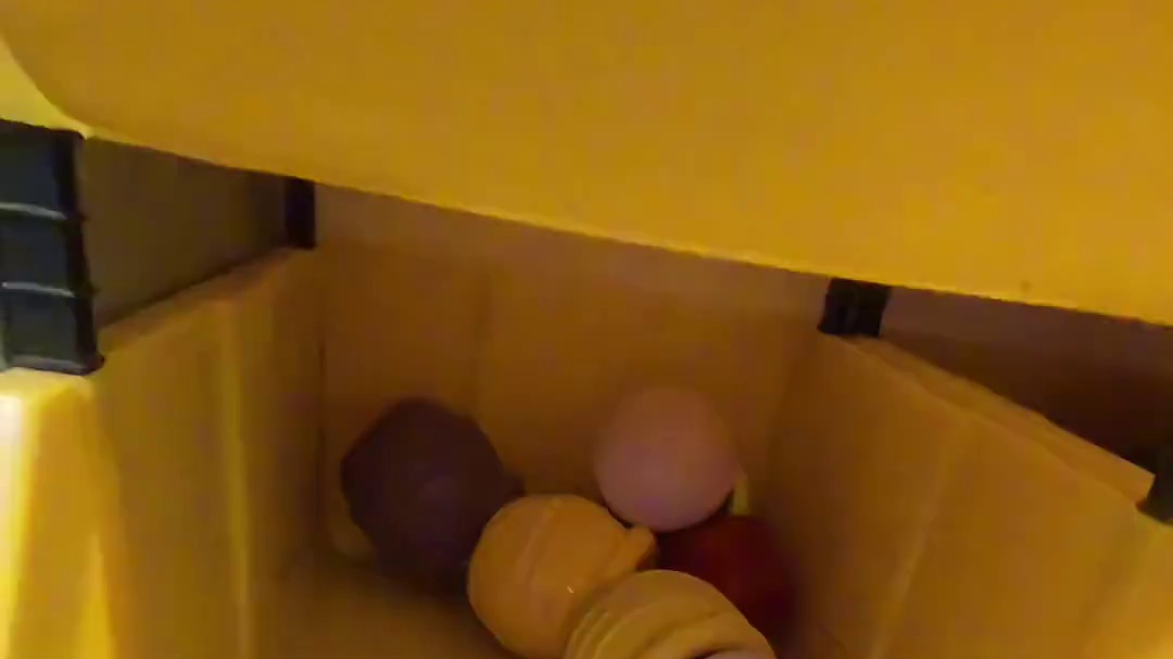 搬家vlog2 新家一号仓库搞定百分之80啦 #vlog日常 #宠物vlog #搬家vlog #狗狗