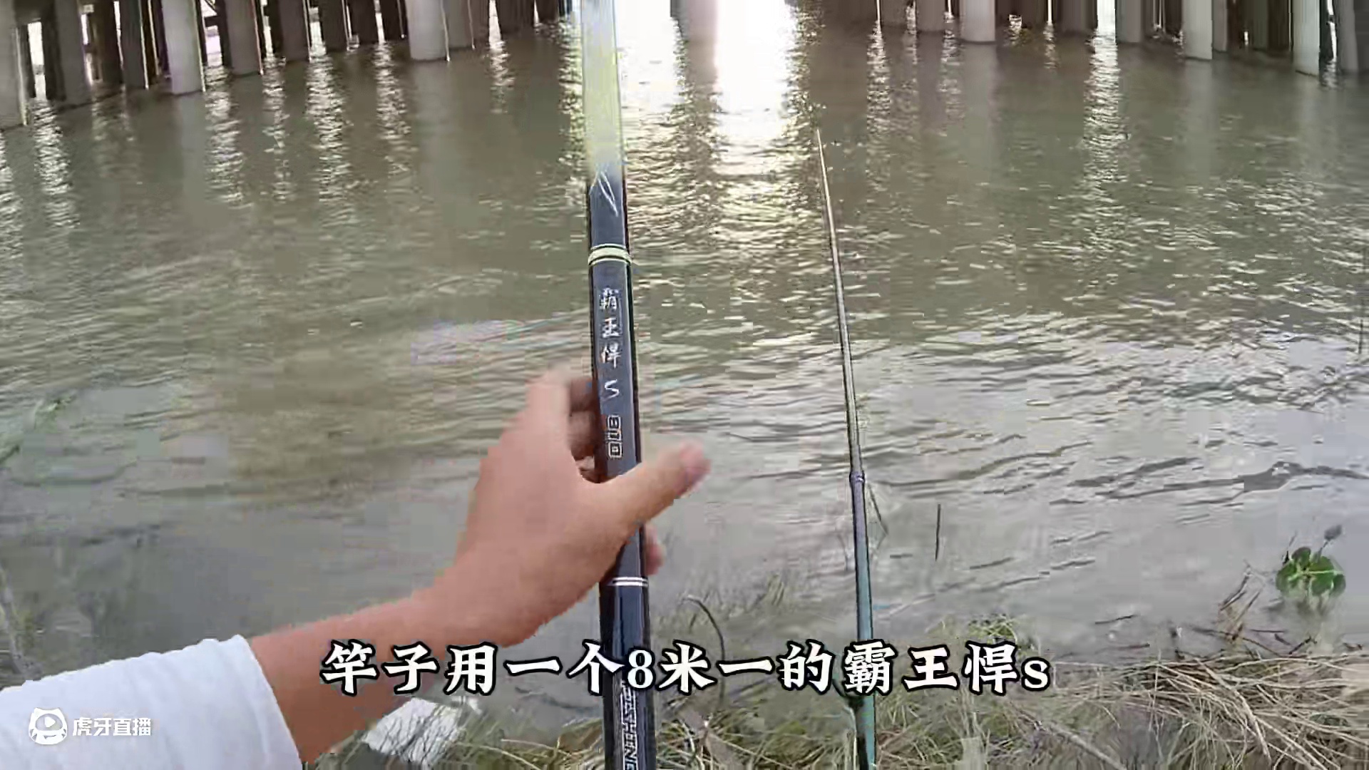 期待了大半年的钓位终于重现了！
#钓鱼的乐趣只有钓鱼人懂 #闷竿钓法 #
