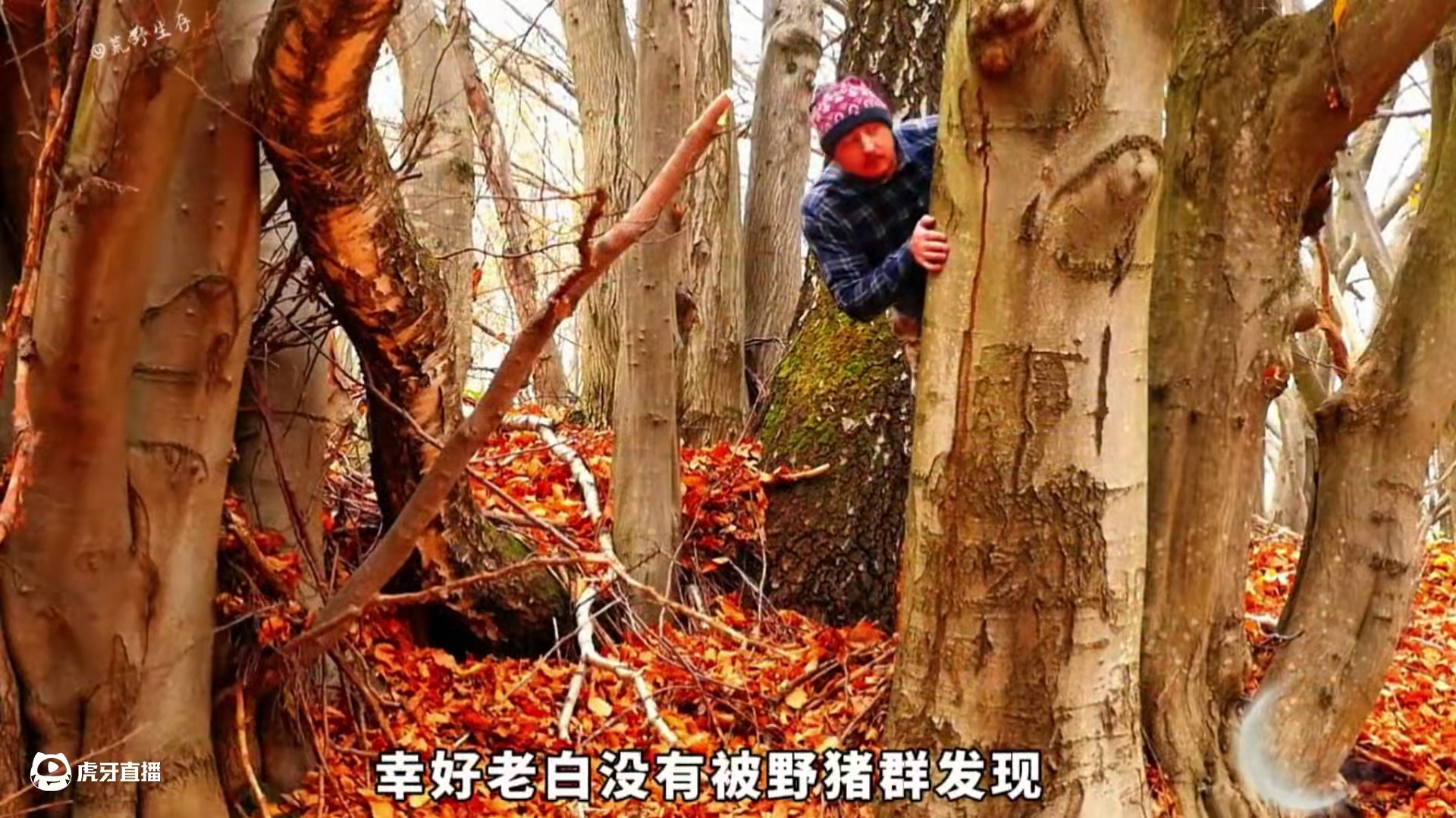 这是我见过最有安全感的庇护所，他深藏在地下两米深的缝隙处！ #潮汐守望者 #野外建造