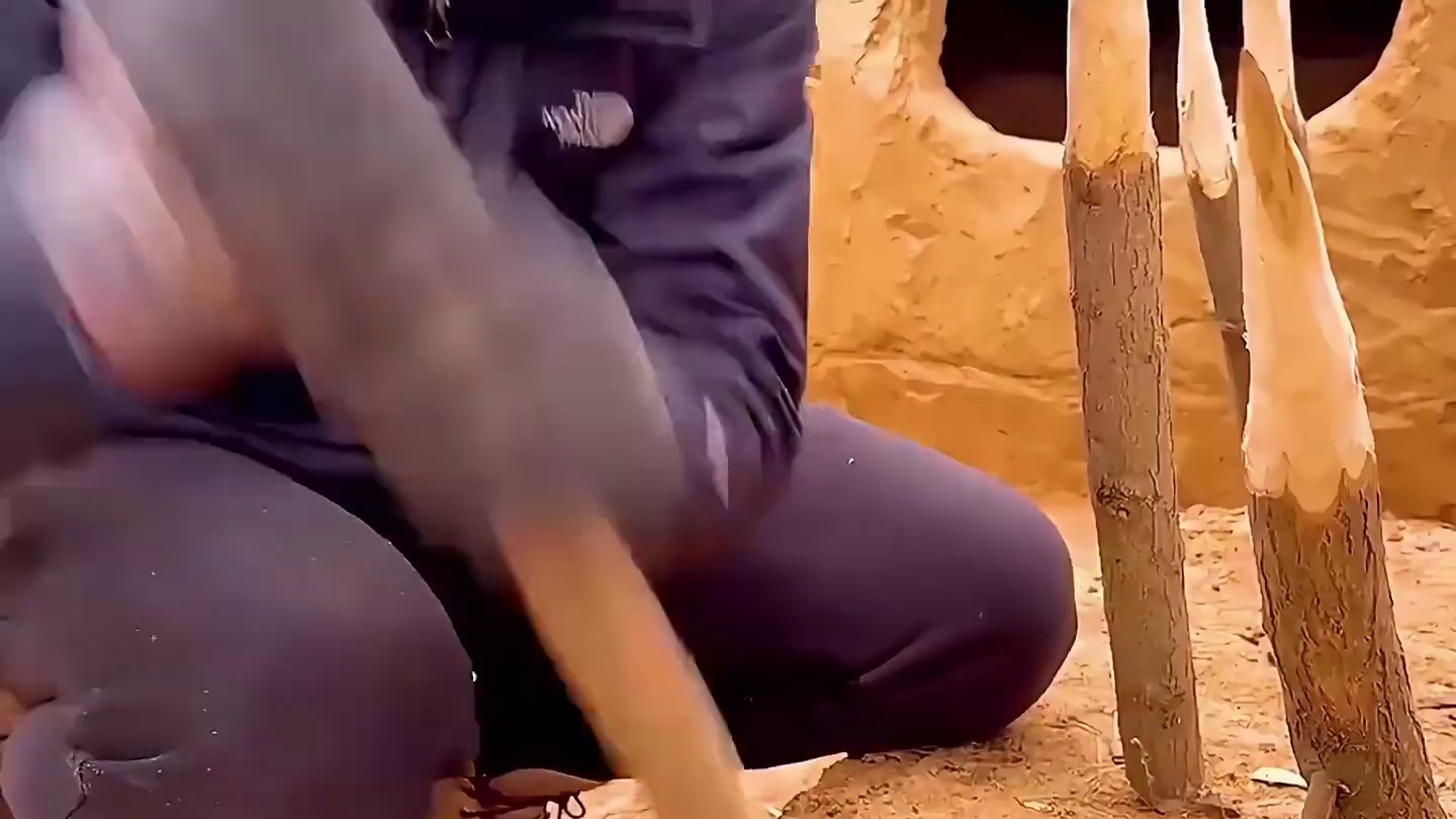 既然能在这个时间点刷到我，那想必大家都已经躺在床上了吧 #野外生存   #野外建造   #荒野建造