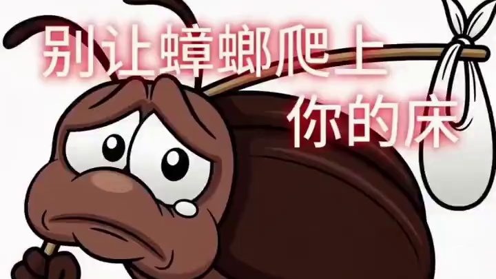 别在犹豫了#蟑螂 #蟑螂一锅端 #蟑螂克星 #蟑螂胶饵