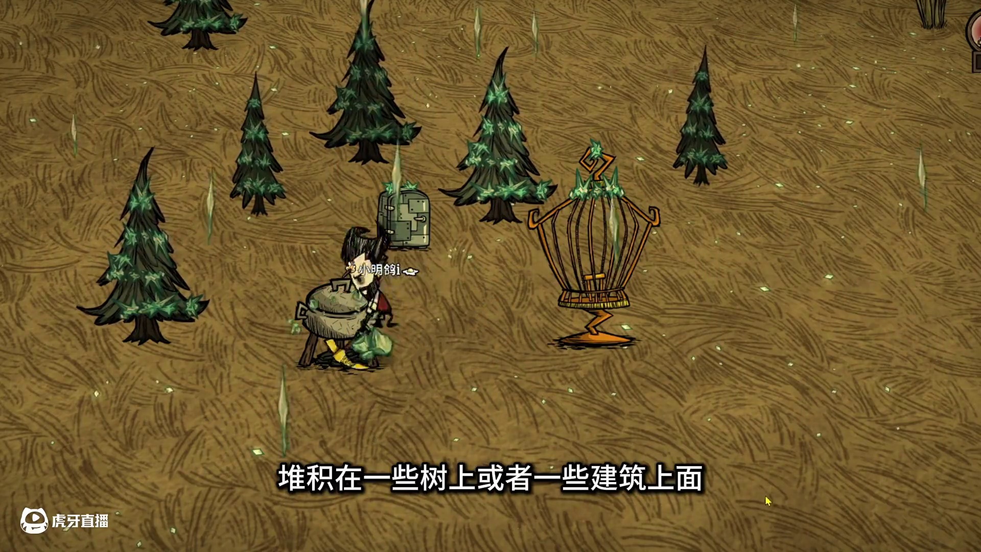 变异的鸟 晾肉架增强 一次三个 饥荒测试版新内容 饥荒联机版#饥荒联机版 #饥荒测试版 
#饥荒萌新