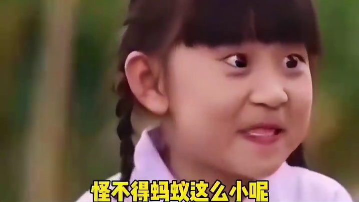 蚂蚁的脸你见过吗吗？