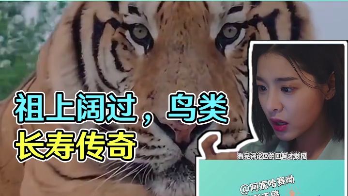 鸟类不愧是祖上阔过