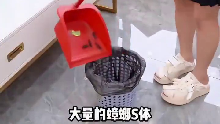 来啦来啦，它带着蟑螂饵剂来了。#蟑螂 #蟑螂大战 #蟑螂胶饵 #蟑螂怎么消灭最彻底