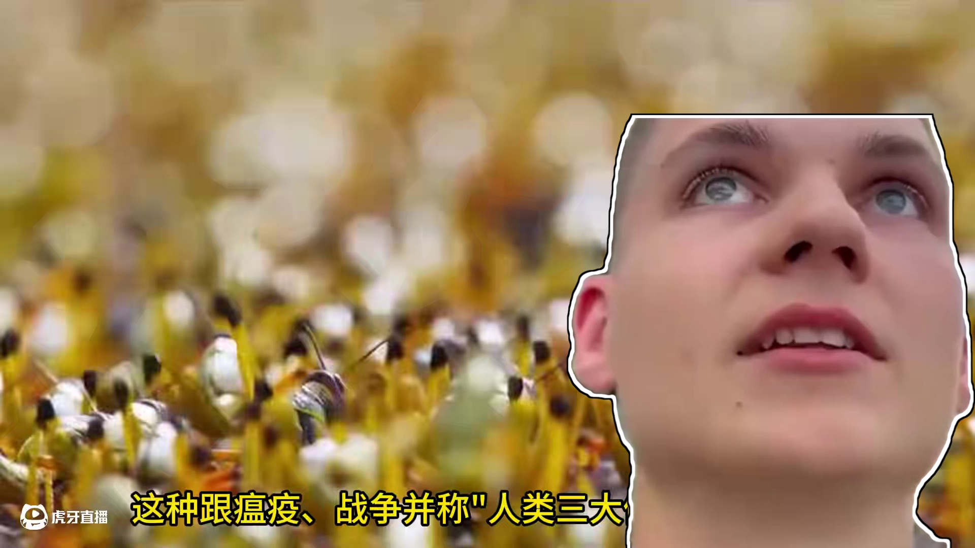 三年一灾的蝗灾噩梦，被他 30 年摁死，中国成全球首个控蝗国 