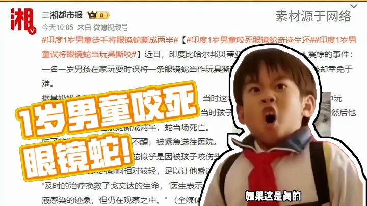 印度1岁男童咬死眼镜蛇？ 这就是传说中的新手保护期吧#新手保护期 #万万没想到 #印度 #眼镜蛇