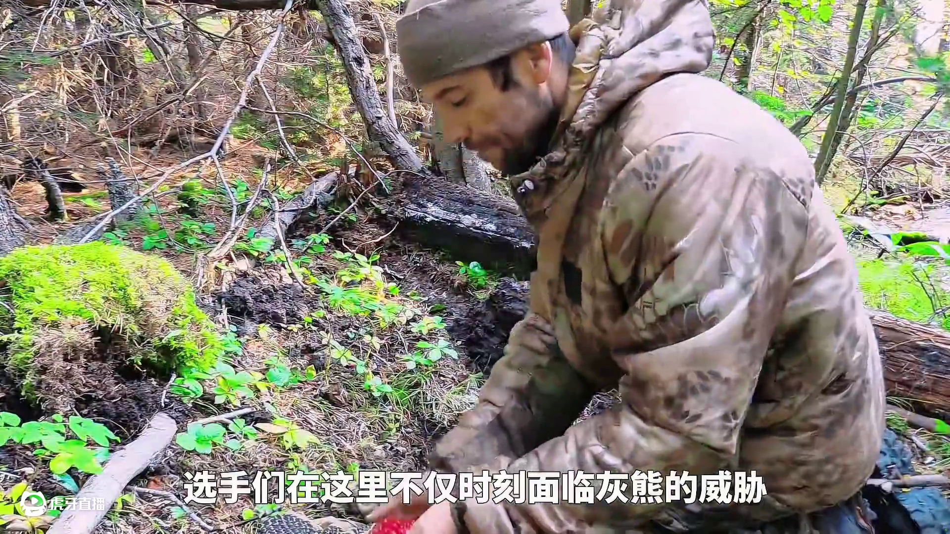 内特采集牛肝菌曳钓绳收获牛鳟，特蕾莎建造坑屋住所吃虫子充饥 #荒野独居 #荒野求生 #野外生存