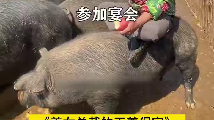 杀手榜第一？只配给我刷马桶！ #短剧推荐 #战神 #保安 #隐藏身份 #因为一个片段看了整部剧 