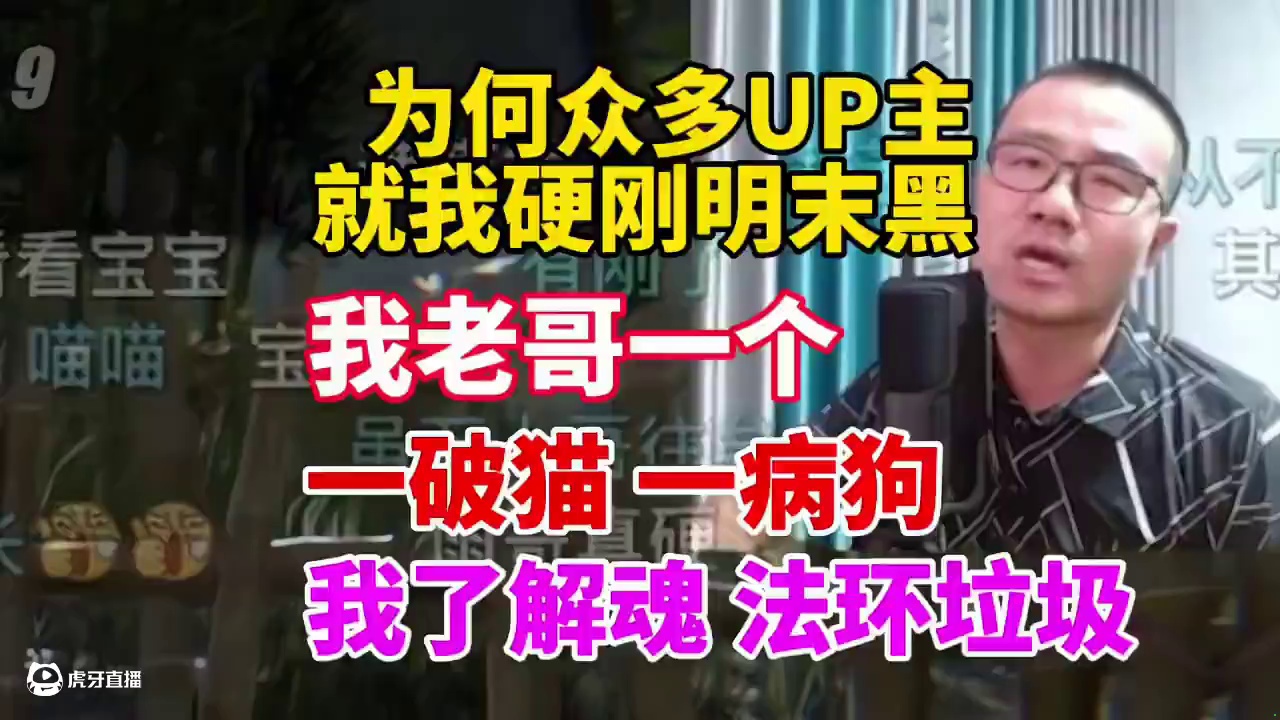 徐静雨：为何众up只有我硬刚明末黑？我老哥一个！一猫一狗不带怕的！我了解魂游！#单机游戏 #明末渊虚