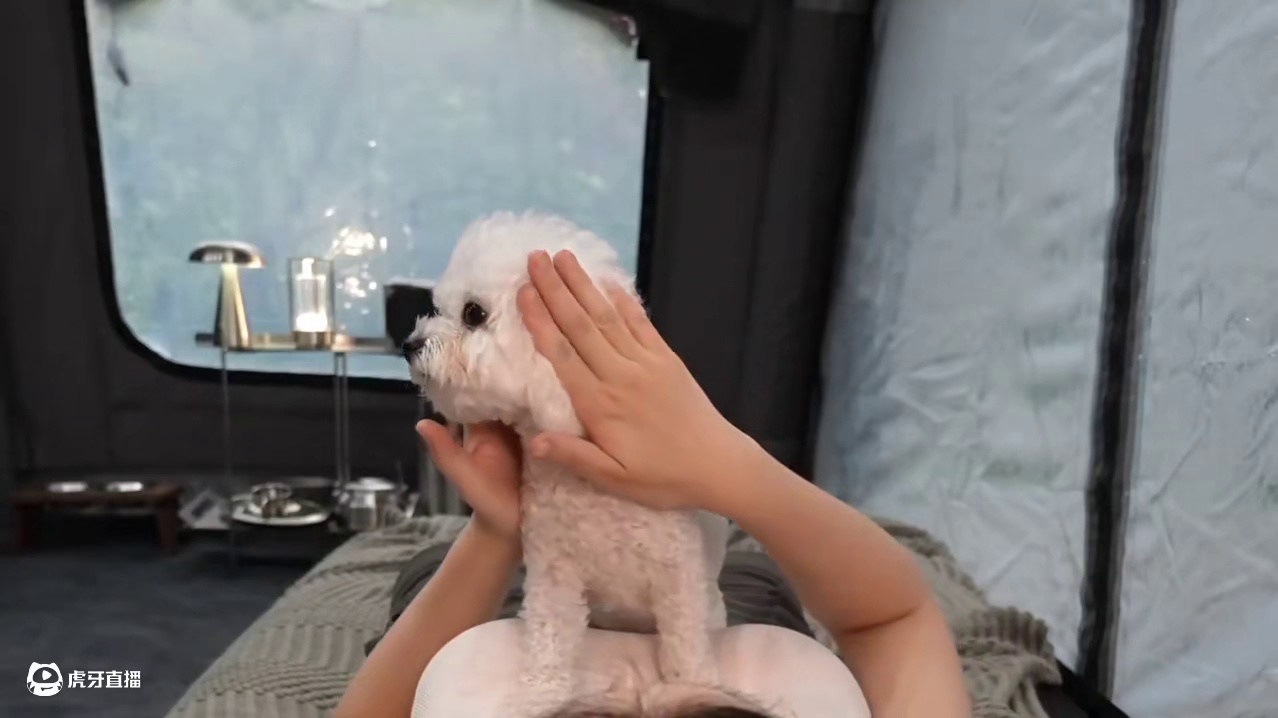 暴雨露营（全集）雨中露营超有氛围感哎~#露营 #助眠 #解压 #萌宠