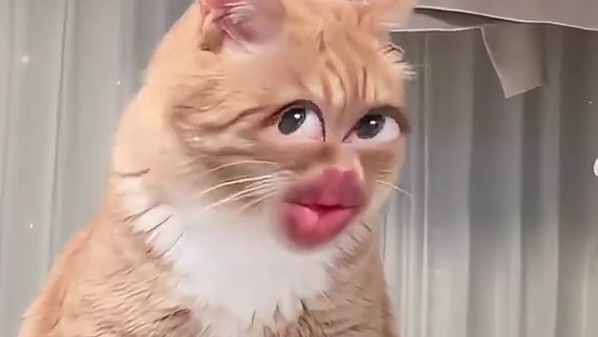 这就是天赋型选手吧