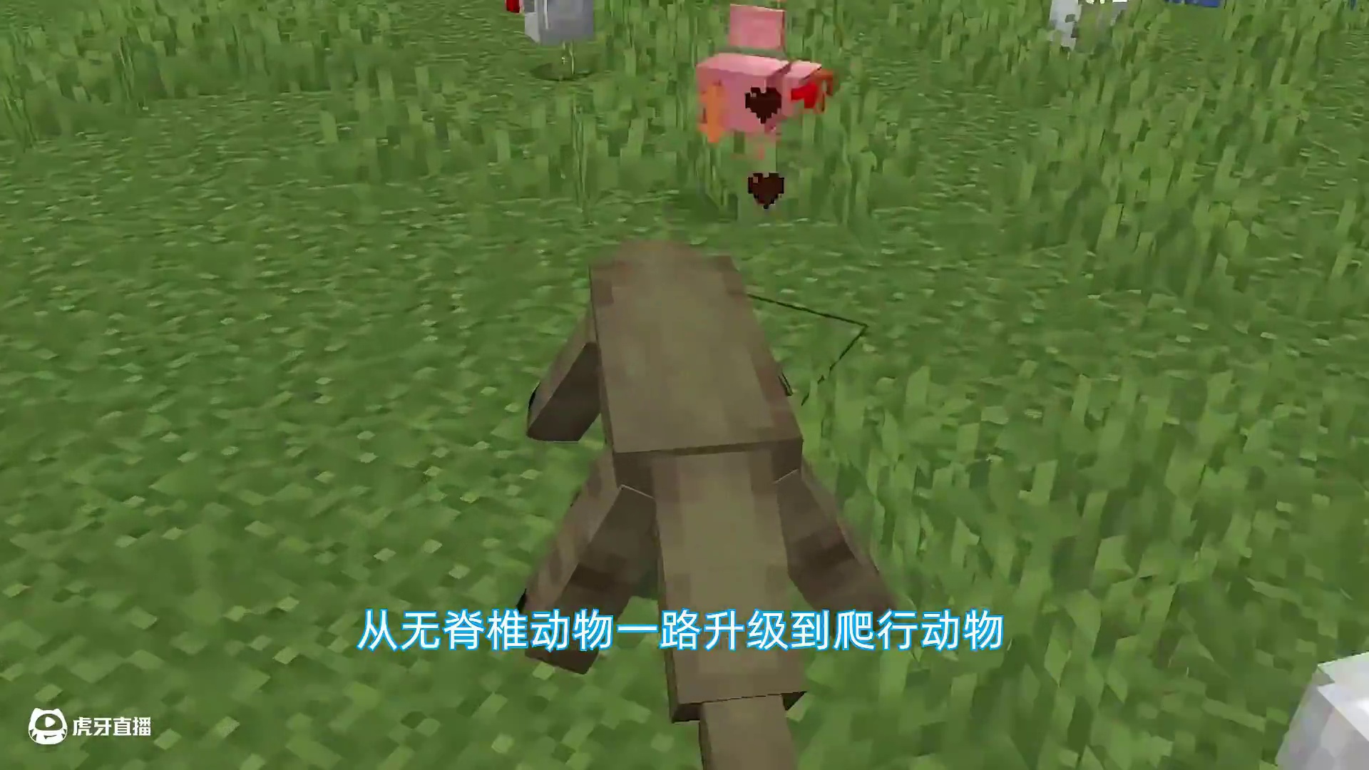 开局变成一颗卵？每升2级进化一次！我能进化成人类吗？ #我的世界 #单机游戏 #沙盒游戏 #Mine