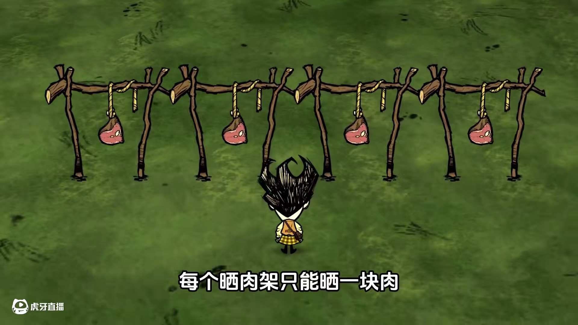 饥荒联机测试服：同时晒三块肉！威尔逊被一只鸟代替？ #饥荒