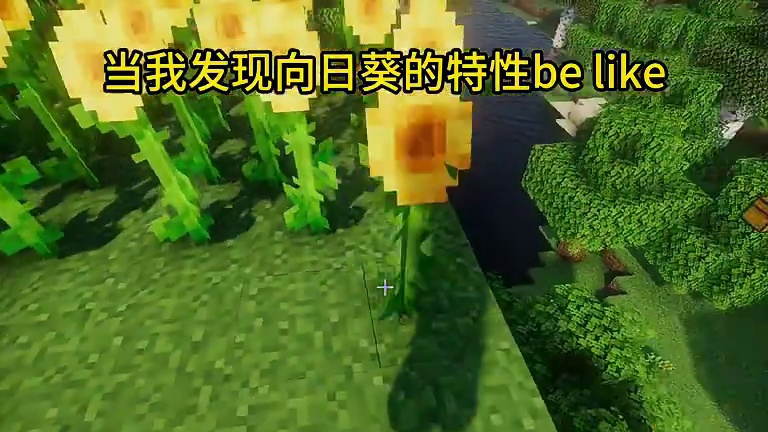 我的世界：当我发现向日葵的特性be like#我的世界#mc不灭#mc