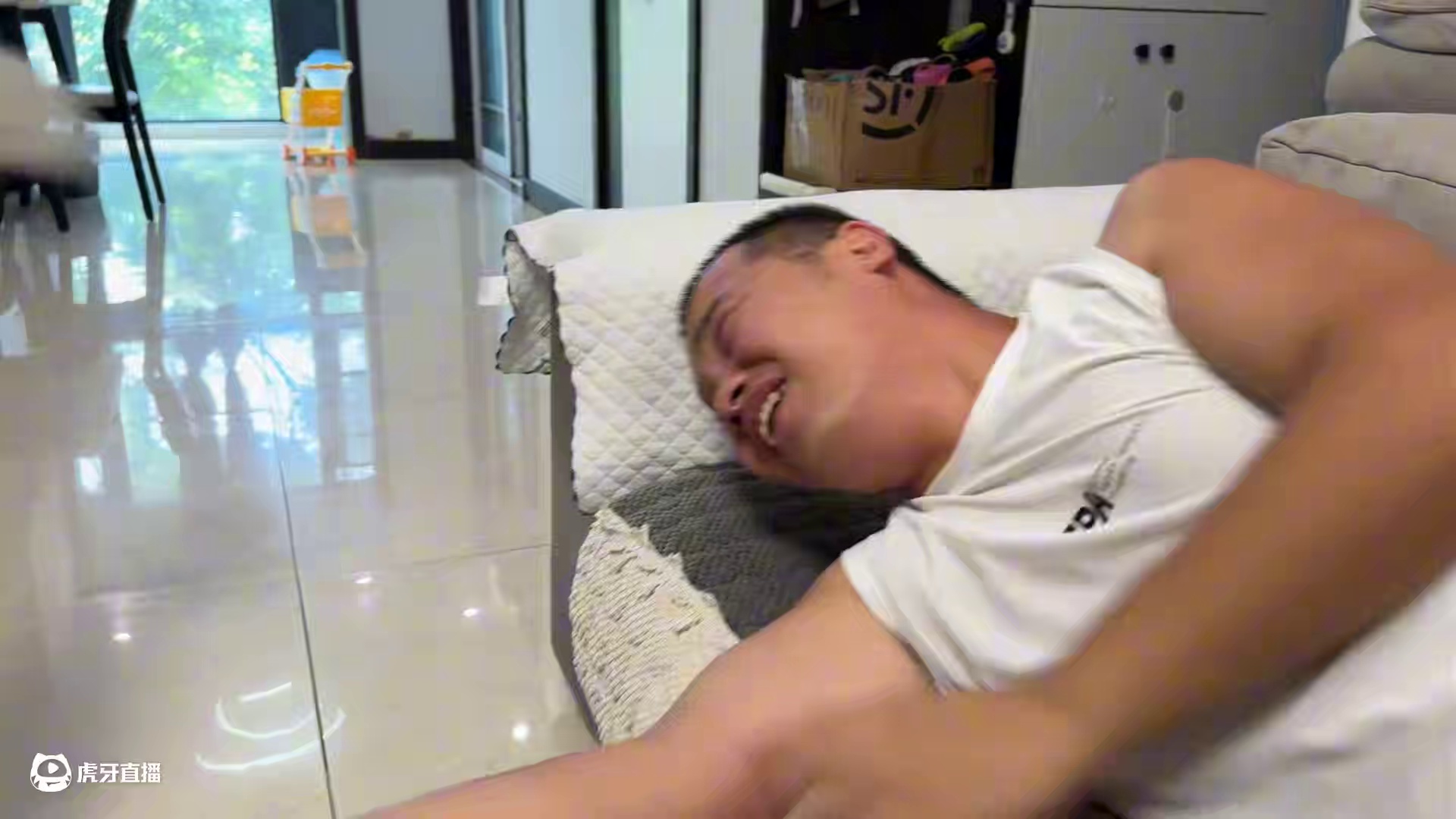 主人非要把二哈当枕头，当二哈龇牙咬人展开报复那一刻，大家别笑 #我和我的狗 #萌宠出道计划 #神奇动