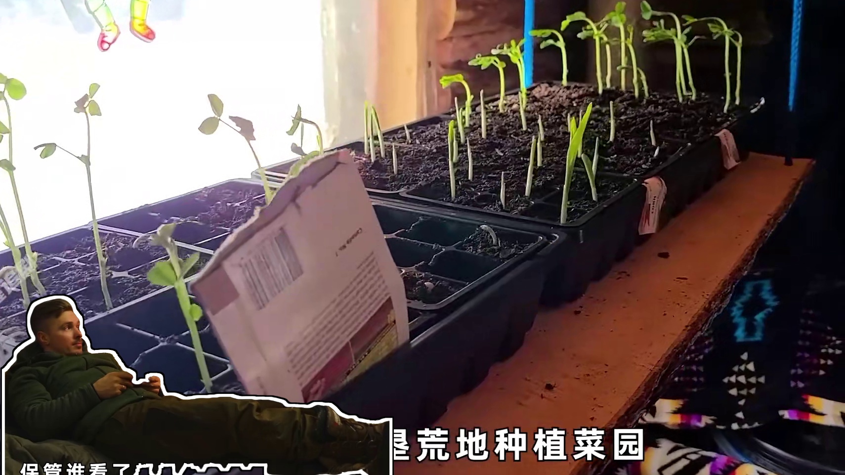 一口气看完阿勇在山巅搭建木屋别墅的全过程#荒野建造 #木屋建造 #户外 #解压助眠 #野外建造