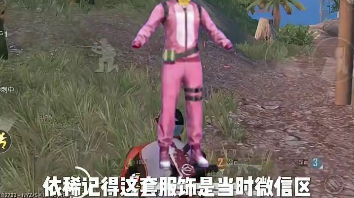 盘点和平精英中众多玩家都有的三款皮肤