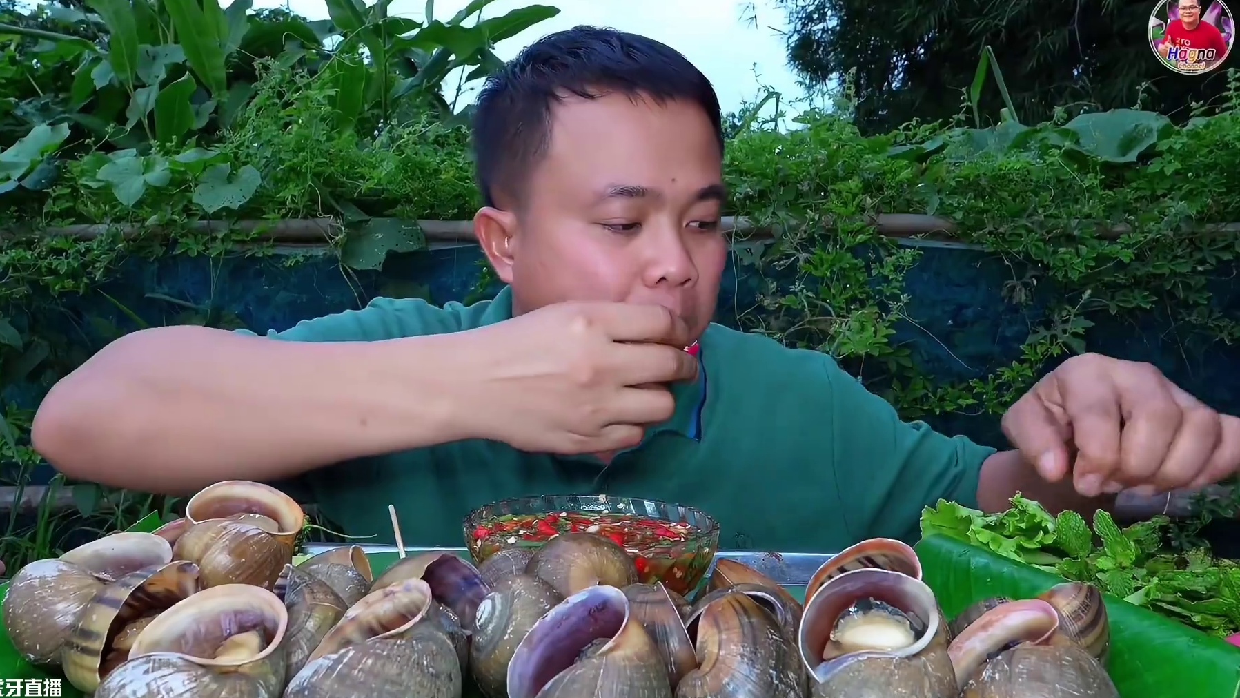 完整版️剁椒酱汁泰国大田螺 #创作人计划 #泰国大叔#泰国美食#内容启发搜索#种草激励计划