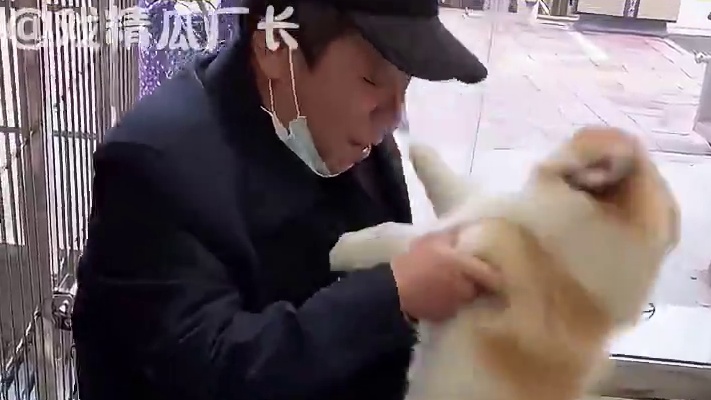 狗狗洗澡之前vs洗澡之后，认不出来根本认不出来 #狗狗    #万万没想到#萌宠 