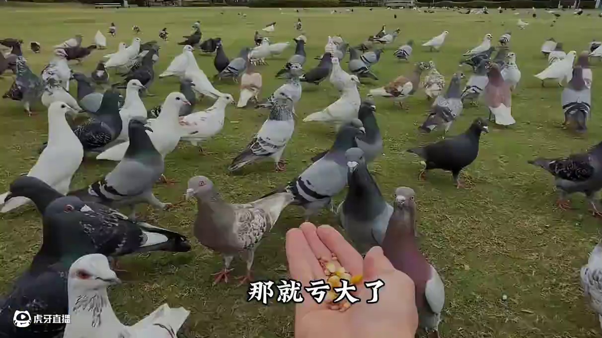 200多来厦门住海边的民宿 这份清新浪漫的厦门小众旅游攻略，欢迎收藏转发！#周末去哪玩 #厦门民宿 