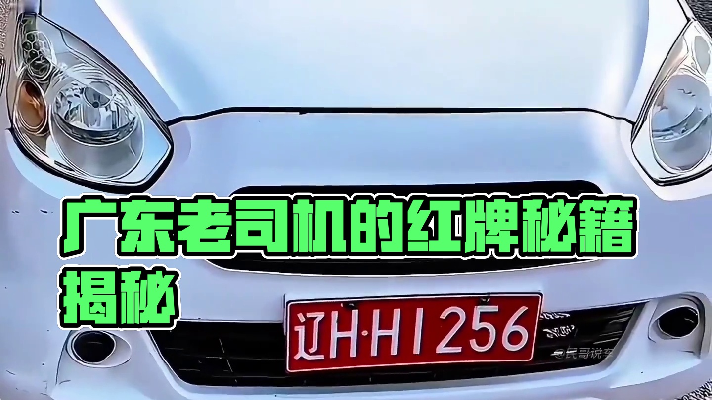 老司机都不一定认得全#汽车知识 #每天一个用车知识 #车牌