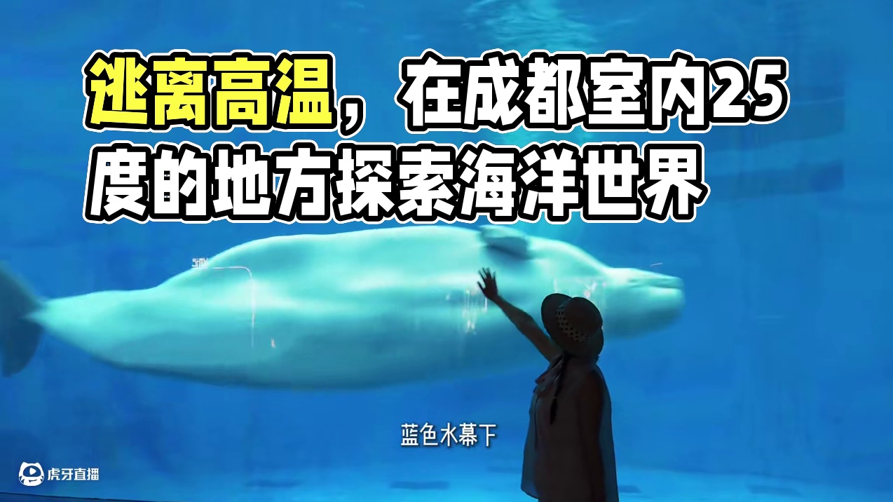 逃离高温，在成都室内25度的地方探索海洋世界 #鲸彩蜀于你我 #成都极地海洋公园 #海合安文旅 #在