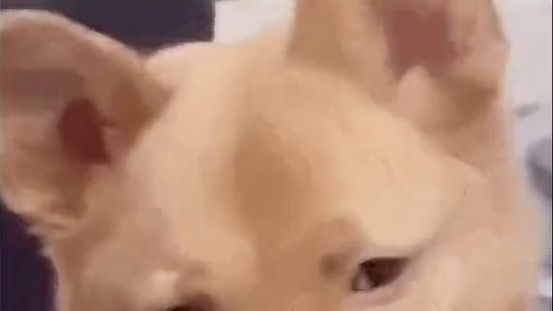 有这几个人在，FPS游戏都能玩儿成脱口秀#矩阵零日危机全球上线  #游戏