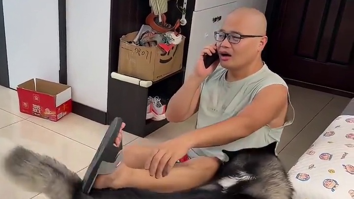 当二哈面问狗肉的吃法，二哈接下来的报复笑得人肚疼，大家都别笑 #萌宠出道计划 #动物的迷惑行为 #哈