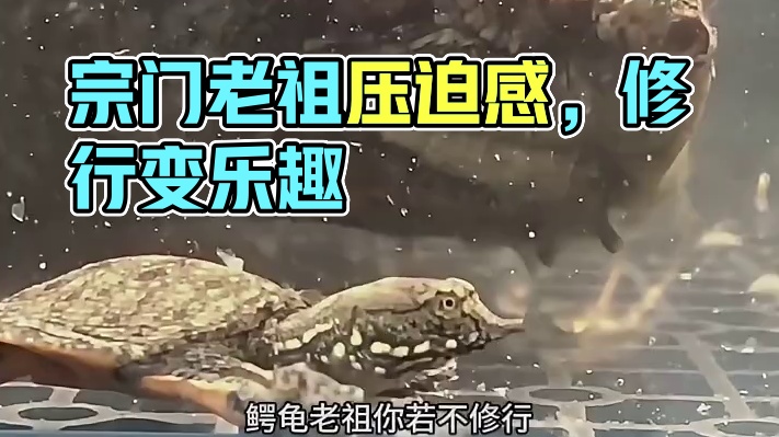 当代天骄看宗门老祖的压迫感