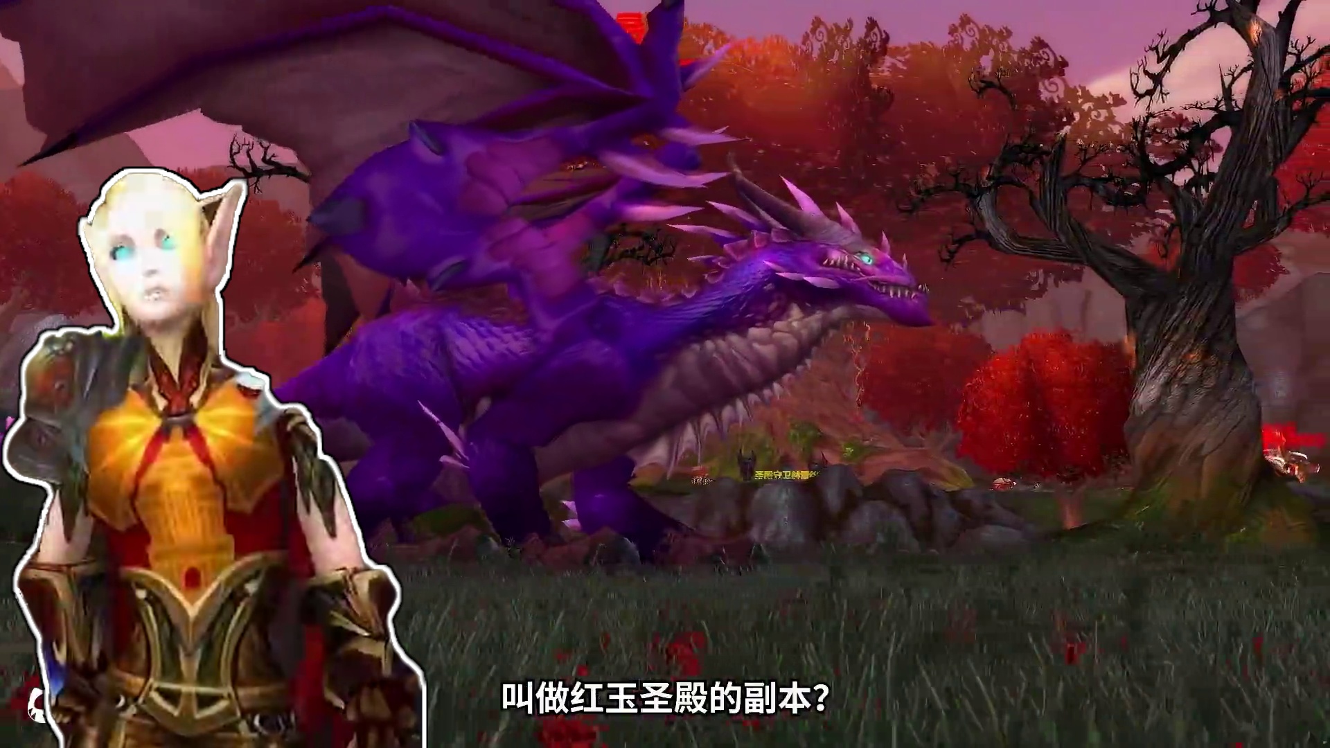 为什么ICC打完突然多了个红玉圣殿？黑龙龙后与暮光龙的故事 简直重口味啊！【艾泽拉斯异闻录】 #魔兽